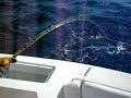Deep Sea Fishing Cabo