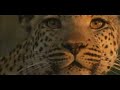 Es Posthumus - Nara (Video by Wonderpony)