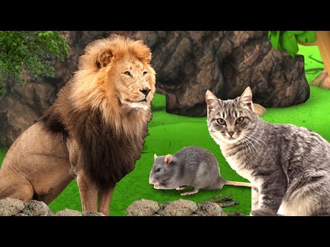 సింహం చిట్టెలుక – LION KING & MOUSE Story in Telugu 3D Telugu Kathalu