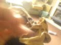 MY FREDDY GLOVE