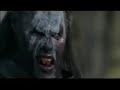 Search Video