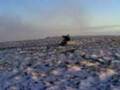 videos de MOV00241.3GP