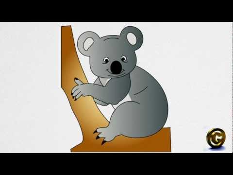 how to draw eucalyptus leaves