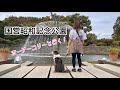 ボーダーコリーと行く！秋の国営昭和記念公園 コスモスが綺麗 RAINEY＜192＞