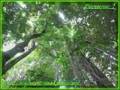 Ma Guyane 973