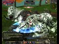 Silkroad Online Tiger Girl