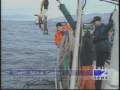 High seas crab bust - Poaching - Oregon State Police -  Washington Fish and Wildlife  - Game Warden