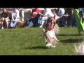 POW Wow Dancers