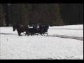 videos de Borges Sleighride on R S N 2008