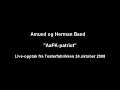 Amund & Herman band