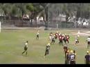 CORRIDA CALIXTO CORRIDA CALIXTO