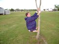 midget climbing a tree midget climbing a tree