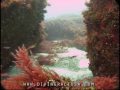 Cave Diving