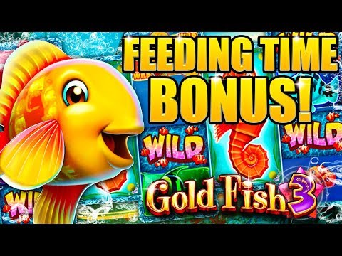 play goldfish slots online free play goldfish slots online free
