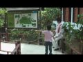 Hua Hin Mangroves
