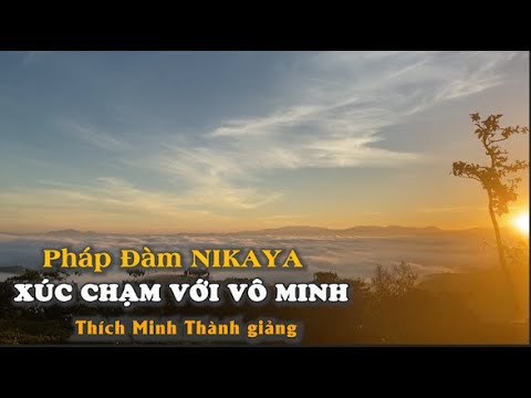 Pháp Đàm NIKAYA – Xúc Chạm Với Vô Minh