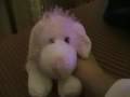 SUBSCRIBE TO Webkinzboi08! *Read discription*