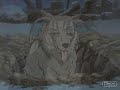 wolfs rain    scars