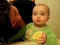 Le citron Le citron