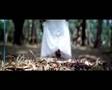 music Video Homogenic