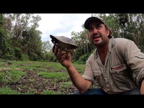 WALK ABOUT CROC Adventures with Tommy from Sandpalms Roadhouse - Ep5