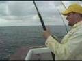 Texas Hoos Chew On This Saltwater Fishing Show