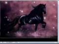 Painting a Friesian horse in Photoshop - Part 2