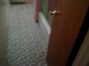 314 N 39th St APT