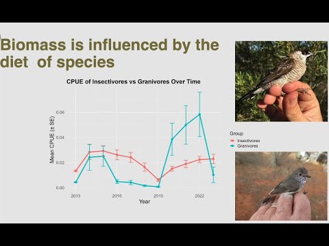 <p>Into the frying pan – long term citizen science project reveals the impacts of a changing climate on semi-arid zone bird assemblages.</p>
 video thumbnail