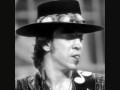 Stevie Ray Vaughan, Change it, cover by the Strawdogs