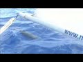 Delfinek Barbados mellett