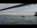 091226 SF Bay sea kayaking