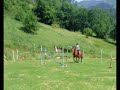 1.40 jump 4.6 ft 1.40 jump 4.6 ft