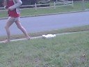 VID00313.AVI