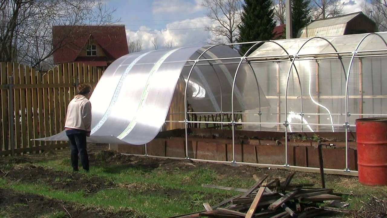Из чего делают теплицы: 3 основных варианта Из чего делают теплицы: 3 основных варианта