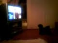 Suki vs. TV Cat Suki vs. TV Cat