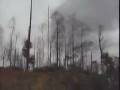 Orangutan Conservancy Part 1