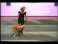 Worlds Smartest Dog !!