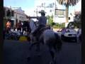 Caballo desbocado en Fresnillo....