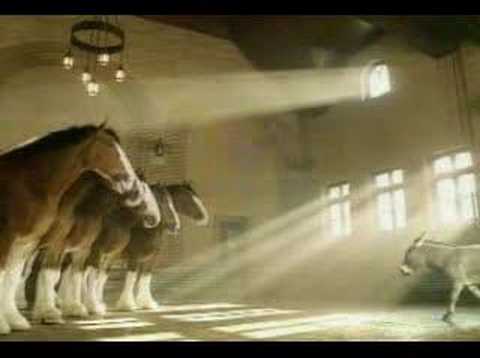 Budweiser Commercial - Clydesdales Donkey