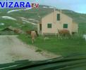 vizaratv vizaratv