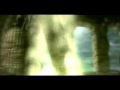 Lineage II - Falling inside the black