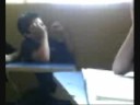 Memo y Gary vs. Esteban