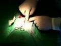 Dog Spay Part 1