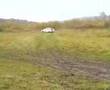Focus 1.6 drift on grass