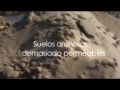 Click here to watch this video Yesera Monterrey Yeso Agrícola