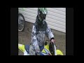  Dirtbiking Dirt Bike Moto Halo Kx Rm Jr Xr 80 125 250 Pitbike cat FMX sex Battleford gooning USA Canada China dog funny