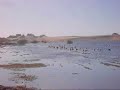 Una Laguna en Ensenada