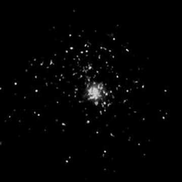 Imaging of Eukaryotic Cells Using ...