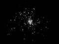 Imaging of Eukaryotic Cells Using Squraine Rotaxanes 1